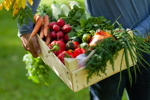 L'agence bio est à l'os