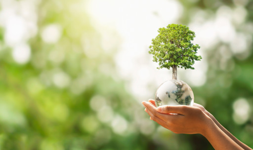 Les Français inégaux devant l'environnement