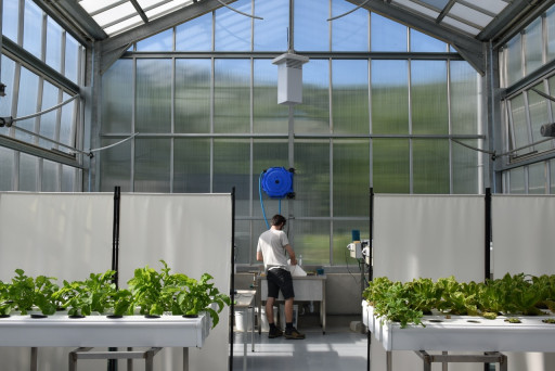 Fermalim’, une serre connectée à l’IUT Nancy-Brabois