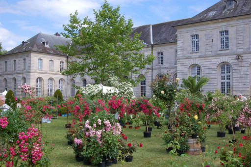 Les Journées de la rose au domaine de Chaalis