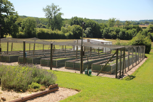 Les escargots du Mont Fossé cultivent savoirs et saveurs