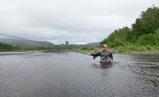 En Norvège, la lente agonie du saumon sauvage face à l'aquaculture