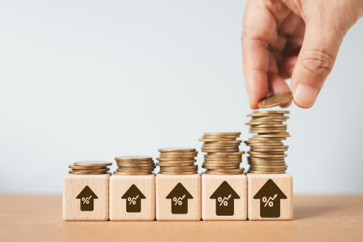 Fungu’it lève 4 millions d’euros pour révolutionner les arômes alimentaires