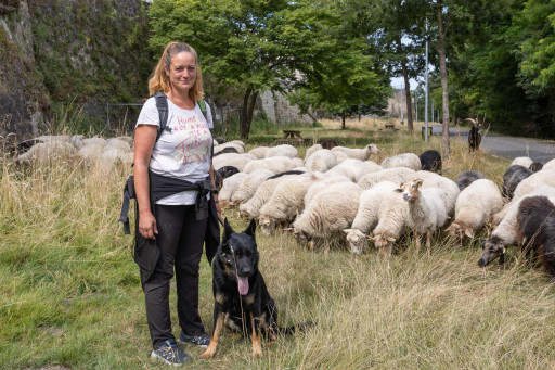 L'éco-pâturage, la biodiversité au cœur des espaces
