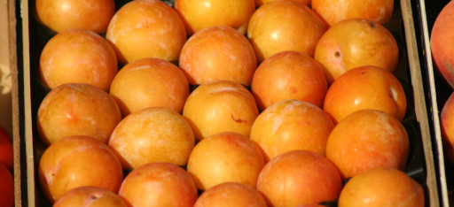 Les Fêtes de la Mirabelle sont de retour pour une nouvelle édition