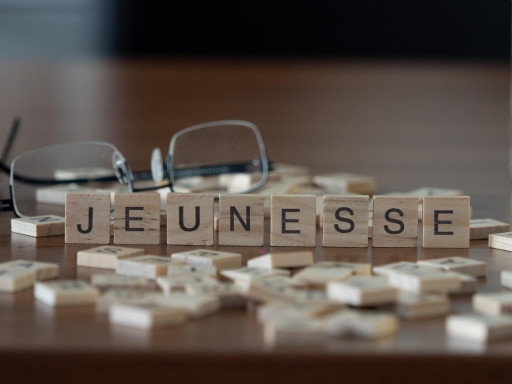 Jeunesse Vosgienne : un dispositif complet avec la carte ZAP88