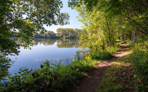 Tourisme en Hauts-de-France : un mois de juillet exceptionnel