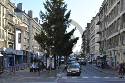 Nouveau réaménagement au bas de la rue de la République à Rouen