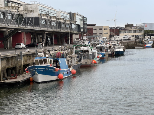 «Hissez Hauts», nouvel étendard de la filière halieutique des Hauts-de-France