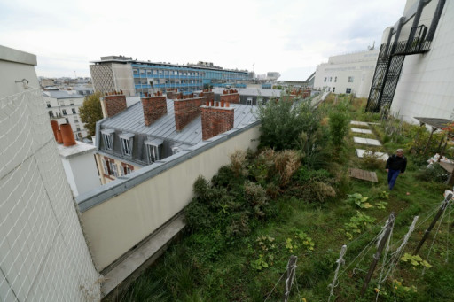 Végétalisation, rooftops branchés: Paris à la conquête de ses toits-terrasses