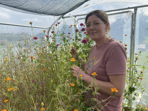 Le Jardin des Possibles fait pousser des fleurs comestibles à Buigny-l’Abbé