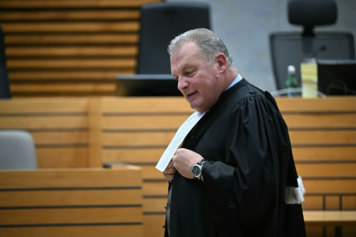 Au procès Jubillar, les parties civiles dressent un réquisitoire avant l'heure