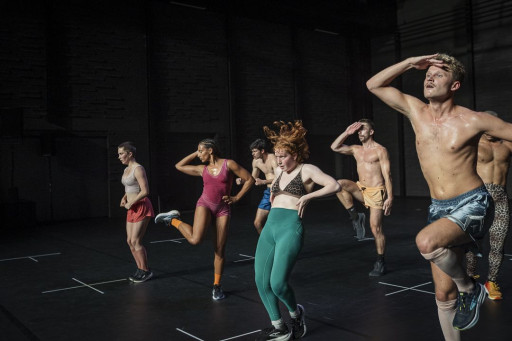 «The Dog days are over 2.0» à Douai