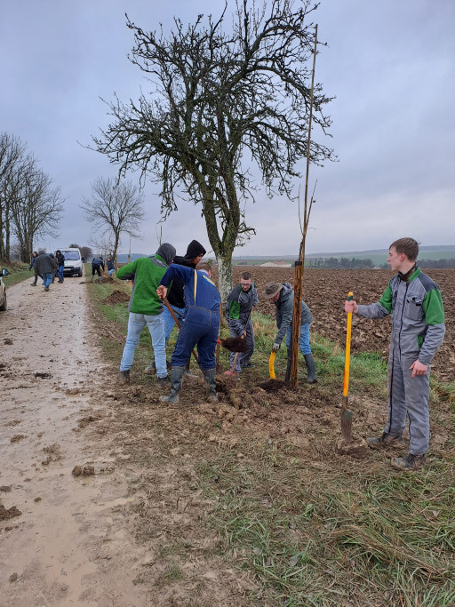 Le département de la Meuse en avance sur son «Plan arbres»