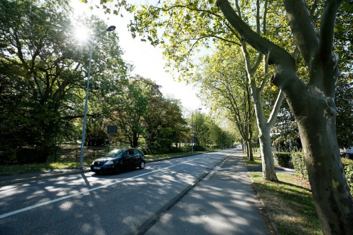 Avenue du Rhin : un aménagement stratégique pour une mobilité durable