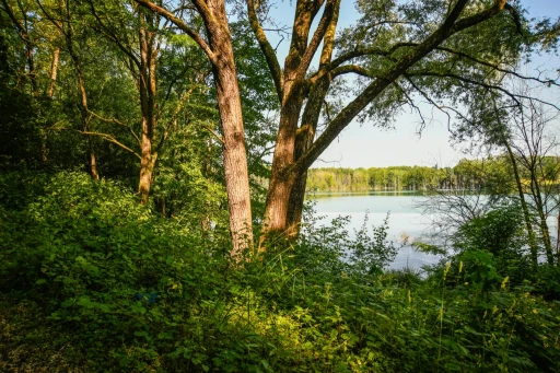 CUCM : un projet structurant pour optimiser la gestion des eaux usées