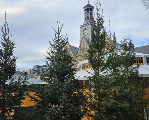 La ville de Saint-Quentin lance une collecte de sapins