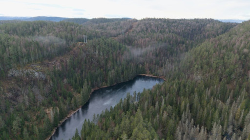 En Norvège, le plus grand gisement de terres rares d'Europe suspendu au sort de coléoptères