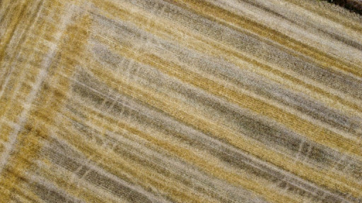 Taxe carbone: l'UE aménage son dispositif pour les engrais face à la crise agricole