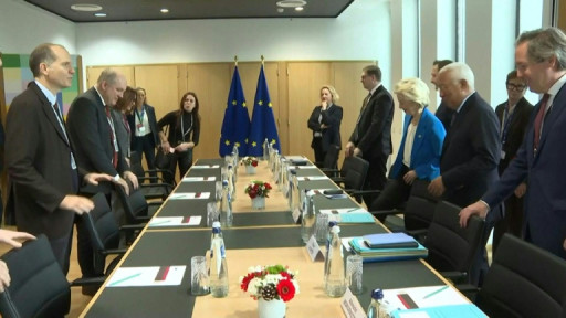 Les agriculteurs tonnent contre l'accord avec le Mercosur, échauffourées devant le Parlement européen