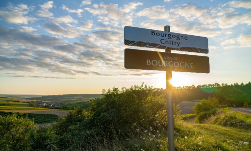 Un spot publicitaire sur un vin IGP retiré suite à l’intervention du Comité des vins de Bourgogne