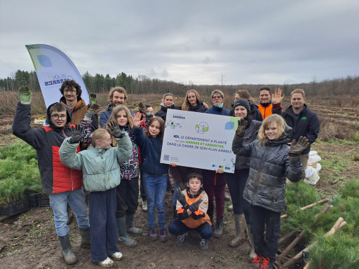 Meuse : un reboisement stratégique pour l’avenir de la filière bois