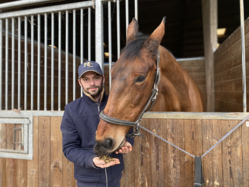 À Saveuse, un aliment pour chevaux made in Hauts-de-France