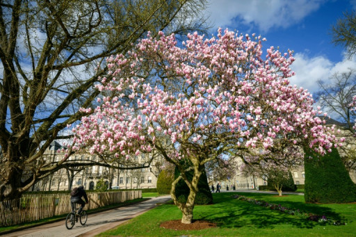 Municipales: moins de voitures, plus de vélos, on continue?