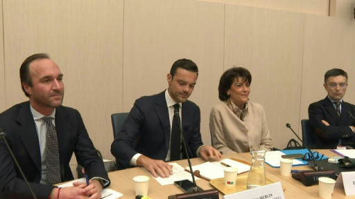 Shein et le BHV se défendent d'être "le grand méchant loup" et vantent leur modèle "disruptif" au Sénat