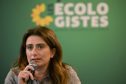 Municipales: les Ecologistes se déchirent sur la stratégie d'alliance de Tondelier