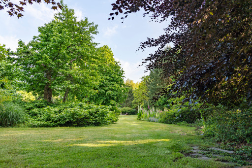 Le Jardin botanique de Metz enregistre une fréquentation record