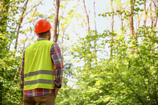 Freyming-Merlebach illustre les orientations du nouveau schéma régional d’aménagement