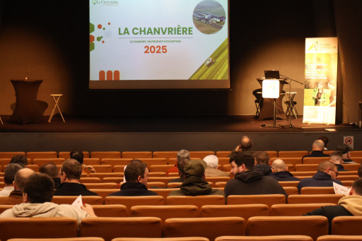 La filière chanvre se structure en Meuse, perspectives économiques pour 2027
