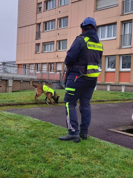 Épinal : innovation canine au service de l’eau et de l’efficacité territoriale