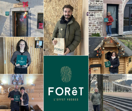 FORêT l’effet Vosges : un réseau renforcé pour dynamiser tourisme et économie locale