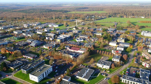 Deux léopards Normandie Responsable pour le Parc de la Vatine