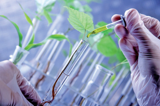 Le Nord-Pas de Calais, pionnier de la chimie du végétal ?