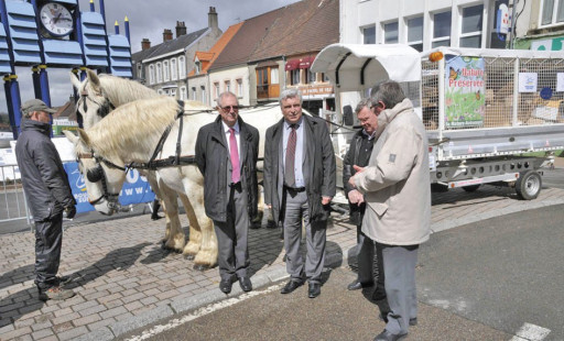 L’énergie cheval, moteur d’avenir