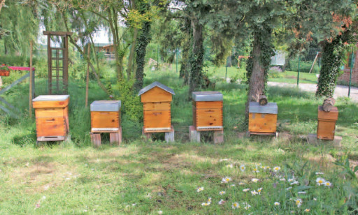 Former, accompagner pour mieux sensibiliser