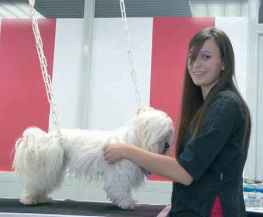 Une nouveau salon de toilettage à Péronne