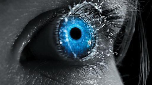 La Cnil confrontée à une hausse des plaintes