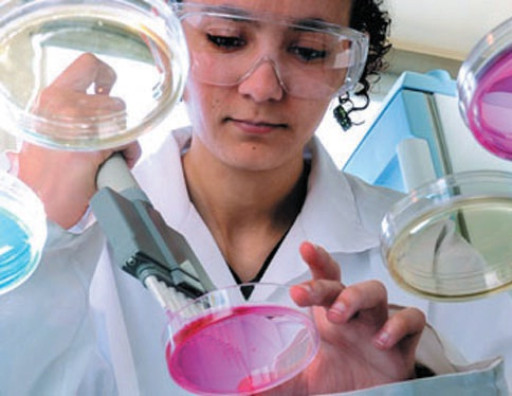 Des précisions sur les dépenses de personnel