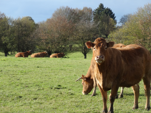 Sa ferme se convertit au bio