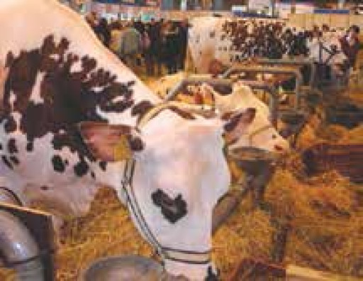 Bonne récolte pour la Lorraine