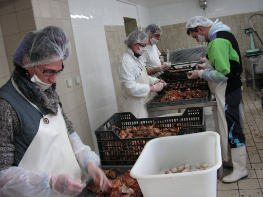 Elle vient de créer une société de distribution