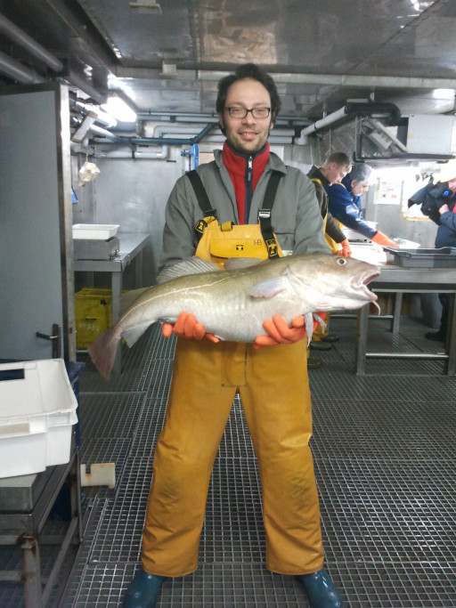 Ifremer évalue les ressources halieutiques en Manche-mer du Nord