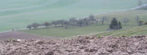 Le salut de l’agroécologie…