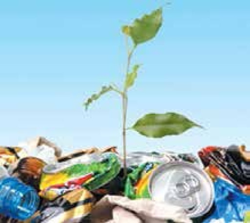 L’emballage écologique est-il économique ?