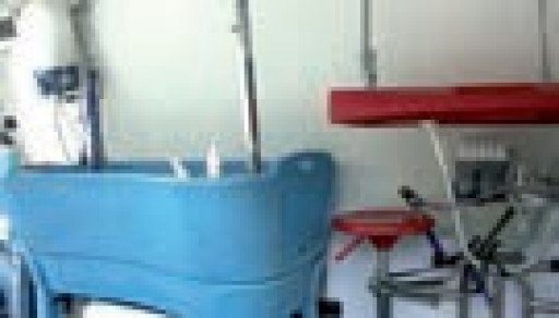 Delphine Gérard ou l’itinéraire d’une toiletteuse à part