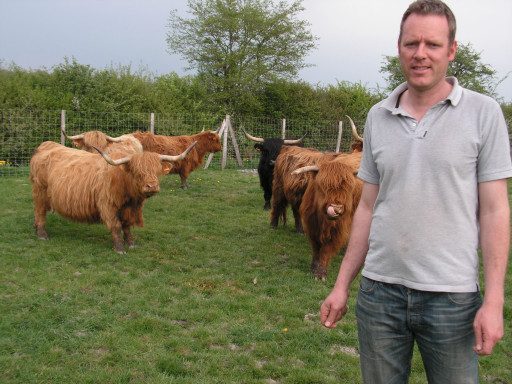 Après les porcs, les highland bio